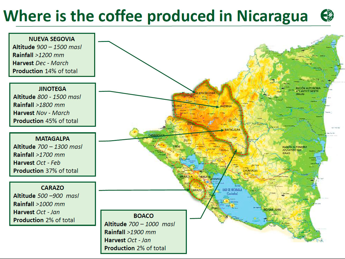 Кофейные регионы Никарагуа